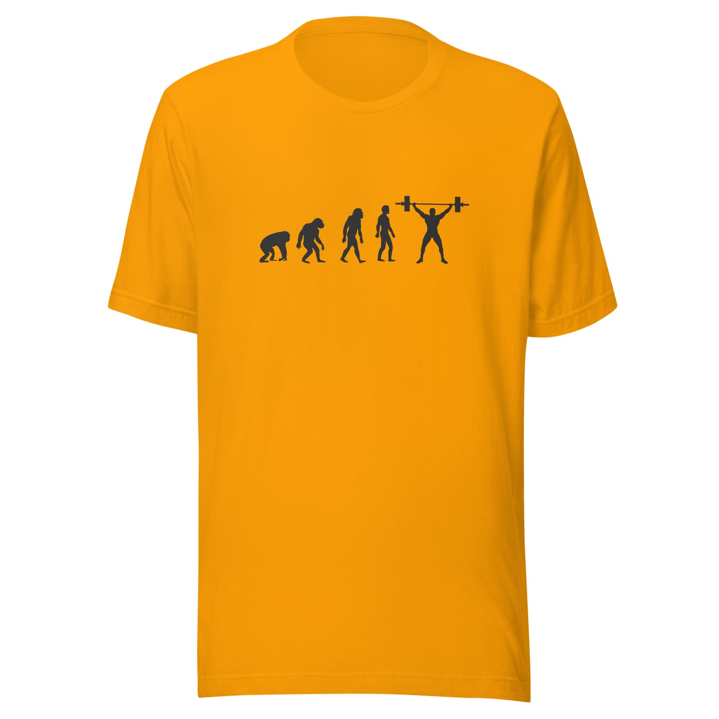Gym-volution