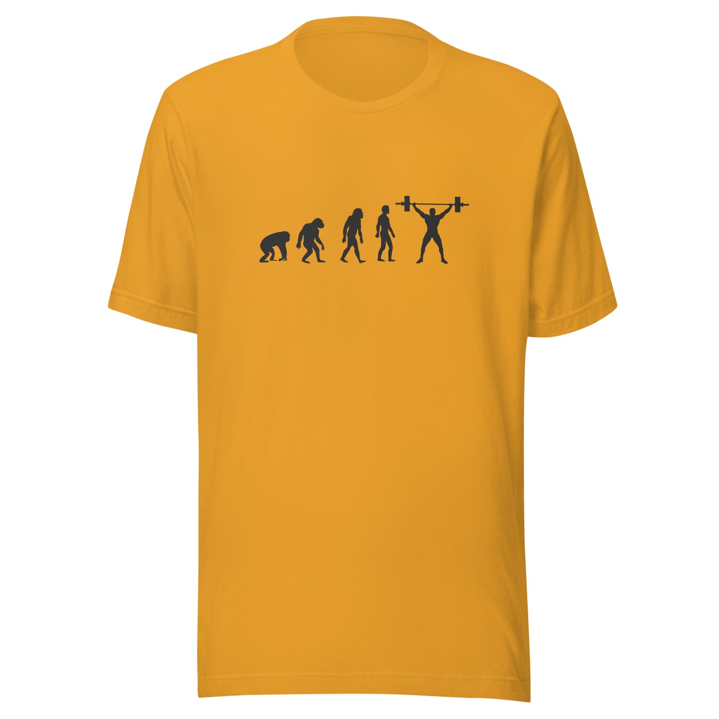 Gym-volution